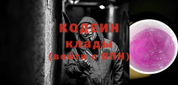 молекула духа Снежногорск