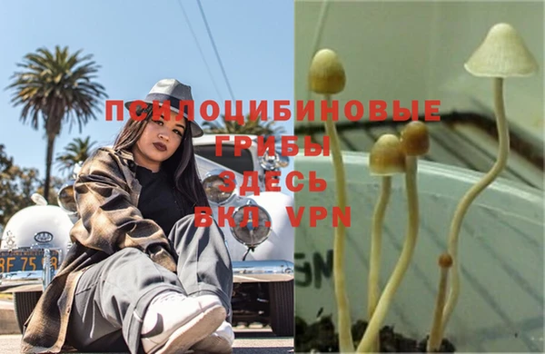 2c-b Бронницы