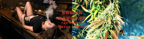 мдма Бородино